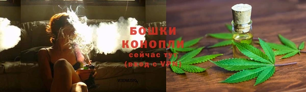 трава Алзамай