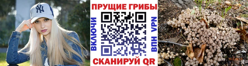 Псилоцибиновые грибы Psilocybine cubensis  цены   Омутнинск 